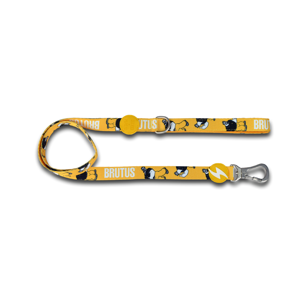 DASHI Brutus Dog Leash