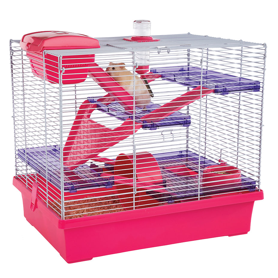 Pico XL Pink