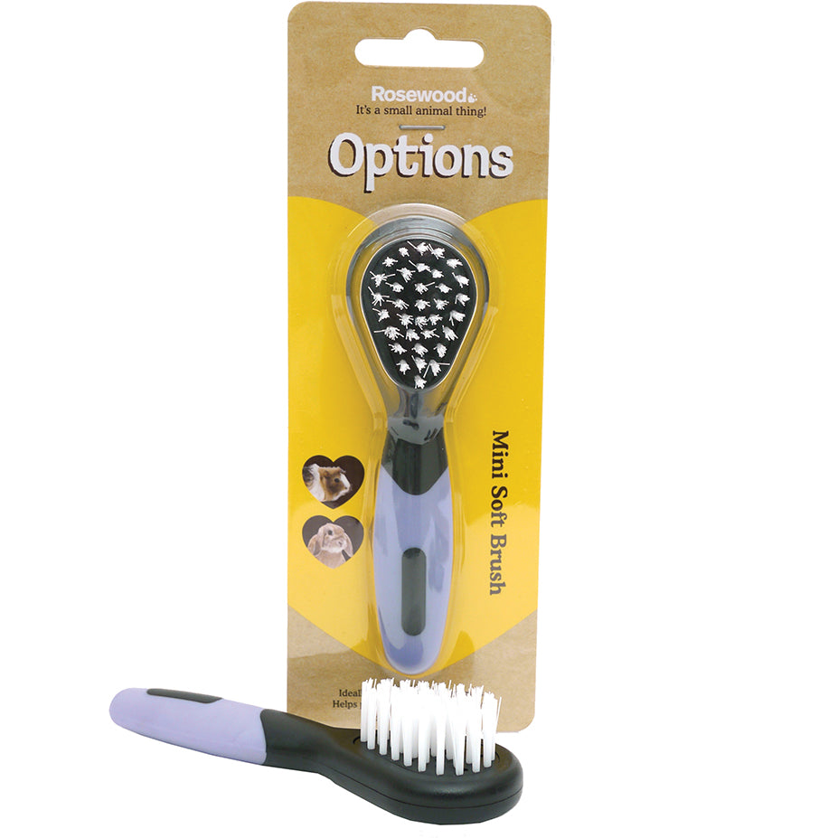 Mini Bristle Brush