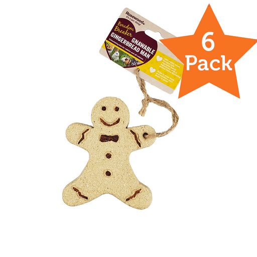 Gingerbread man with jute cord