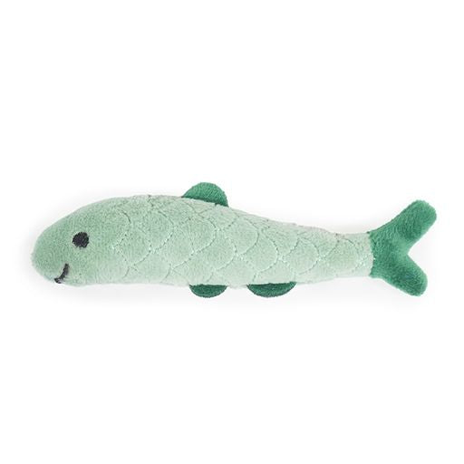 BATTERSEA DAILY CATCH (3PC)