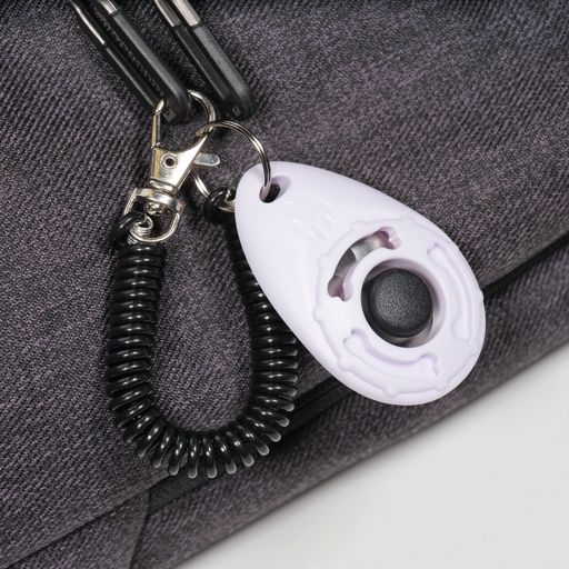 CLICK Training Tool