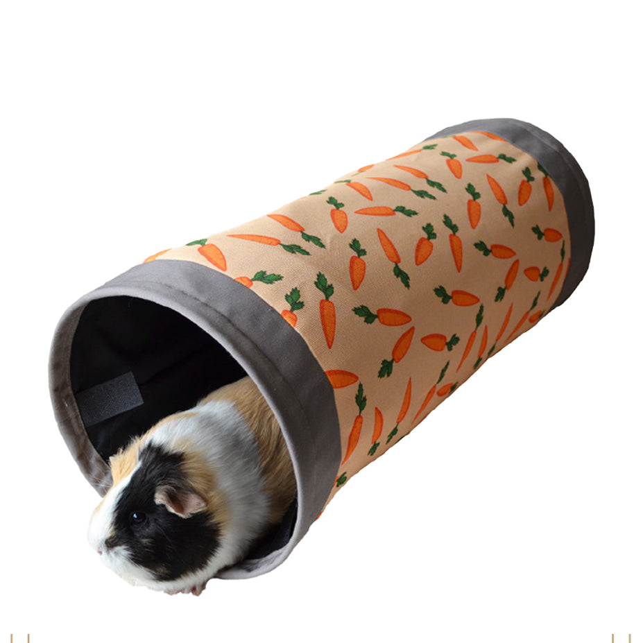 Carrot Fabric Tunnel