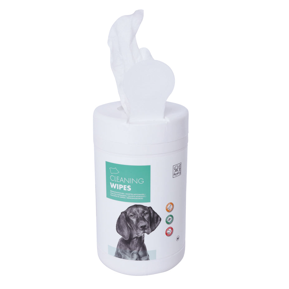 CLEANING Wipes-80 pcs 18*20.5 cm