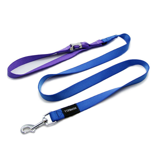 2.5CM STAINLESS STEEL BUCKLE LEASH