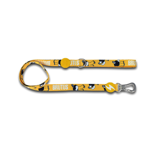 DASHI Brutus Dog Leash