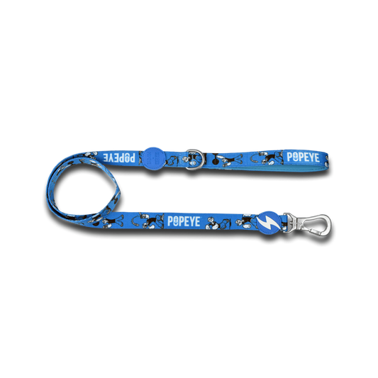 DASHI Popeye Dog Leash