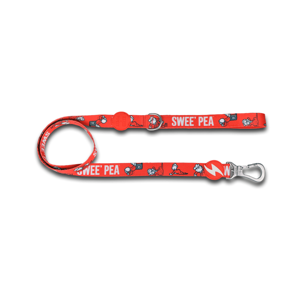 DASHI Swee'Pea Dog Leash
