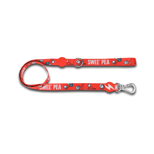 DASHI Swee'Pea Dog Leash
