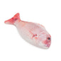100% Natural Catnip Red Snapper