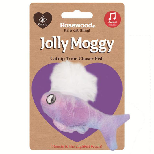 Catnip Tune Chaser Fish