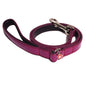 Damson Lead