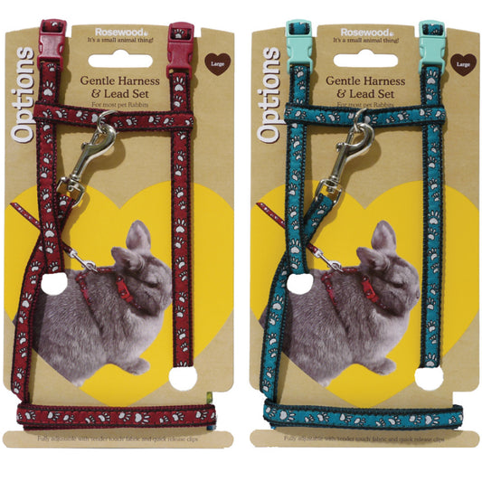 Paw Print Harness and Lead Set Large