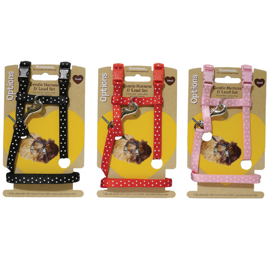 Polka Dot Harness & Lead Large