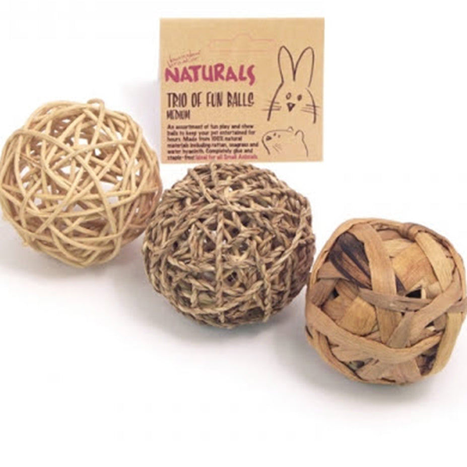 Trio Of Fun Ball (Medium)