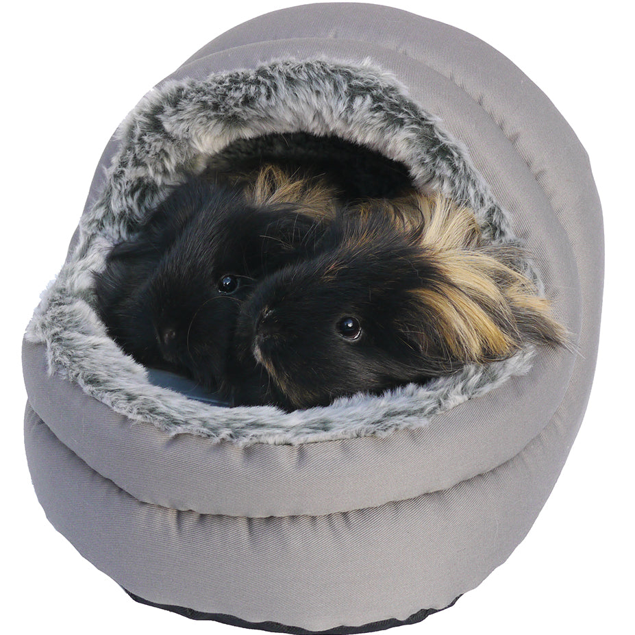Two-Way Hooded Bed