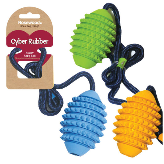 Rugby Ball/Rope Small Asstd