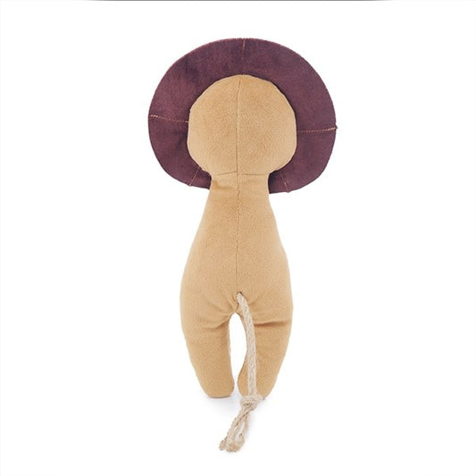 ECO friendly lion