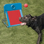 Agility Flyball