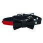 Navy & Red Bow Collar