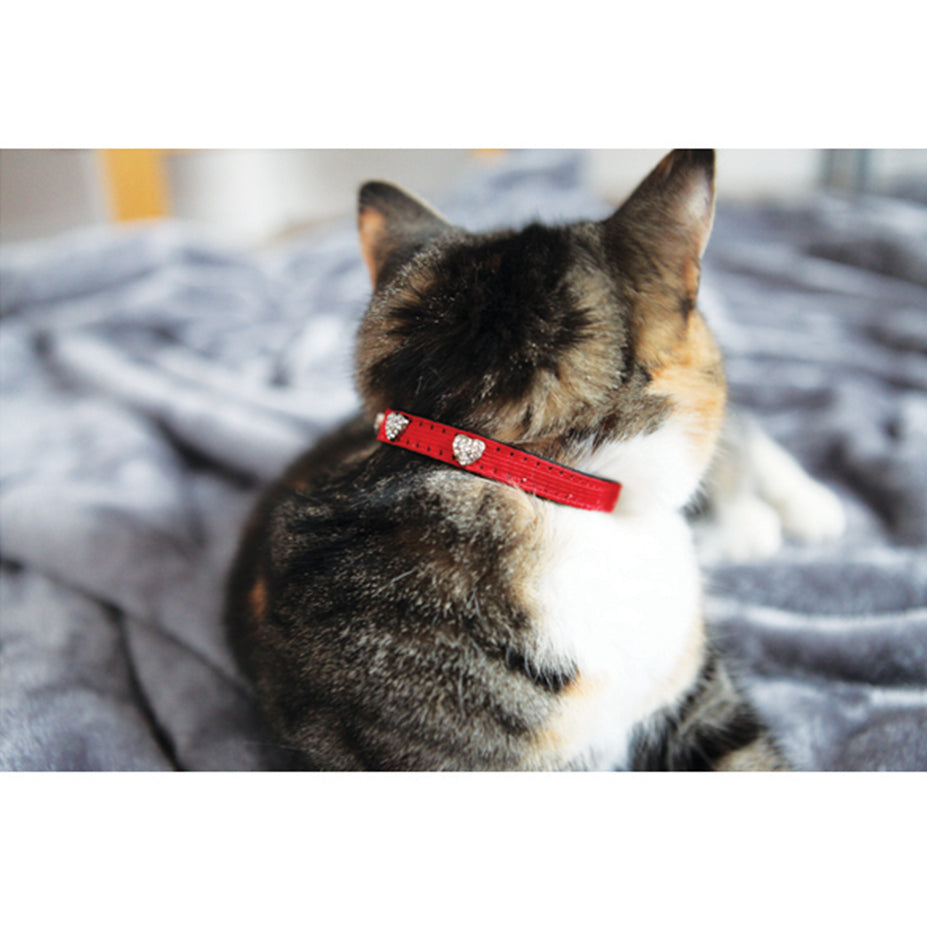 Winter Fashion Cat Collar