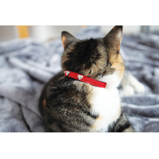 Winter Fashion Cat Collar