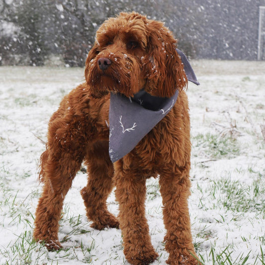 ANTLER HAYGGE BANDANA