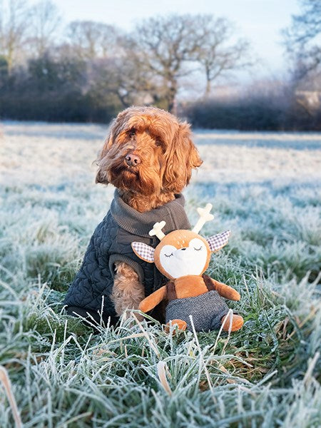 Robbie Reindeer