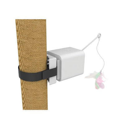 M-PETS BOOGIE Box