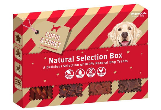 NATURAL SELECTION BOX FOR DOGS 175G