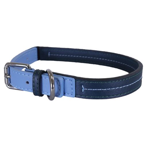 Baby Blue/Navy Leather Collar