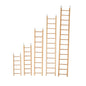 Plain wooden ladder 12 step