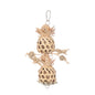 Nature Island Double Pineapple Bird Toy