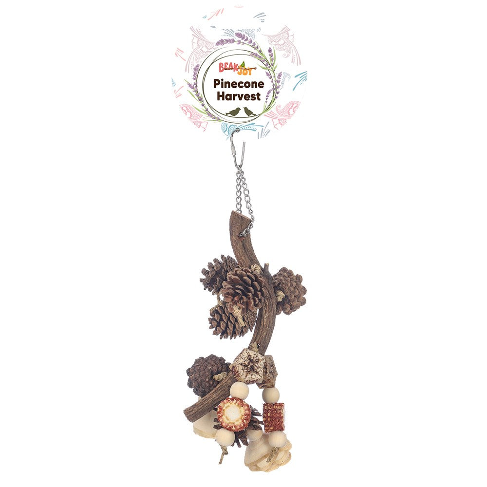 BeakJoy Pinecone Harvest Bird Toy