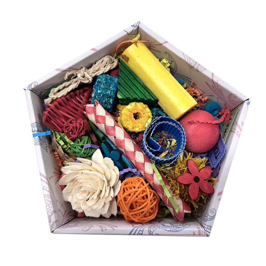 BeakJoy Happy Wings Toy Box – Small