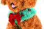 Rudolph Harness