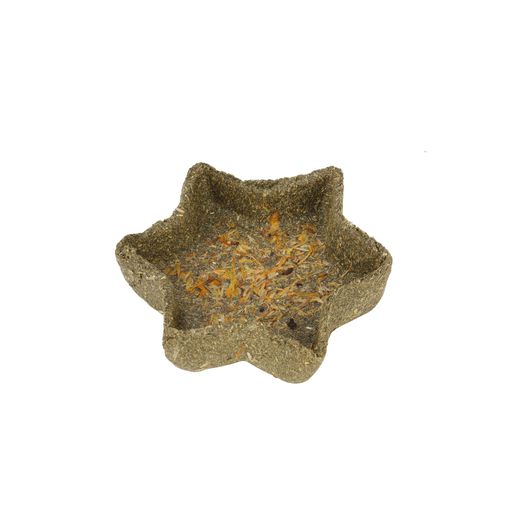 Timothy Star Dish