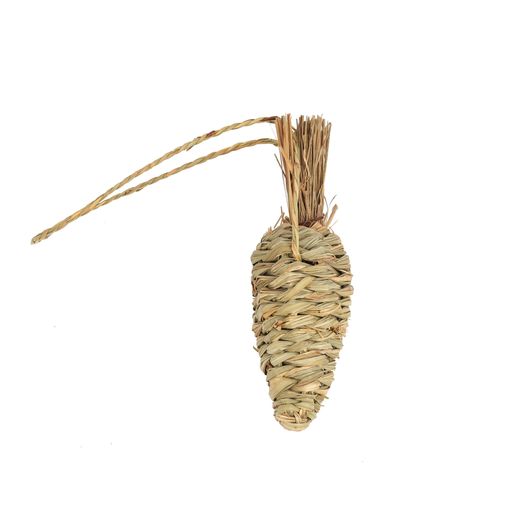 Seagrass Carrot Chew Toy