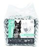 DIAPERS- Male Dog
