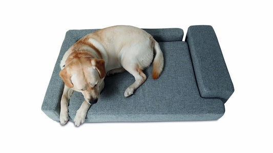 PUZZLE Dog Sofa