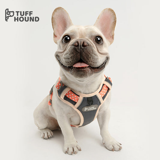 Tuff Hound Diamond Harness