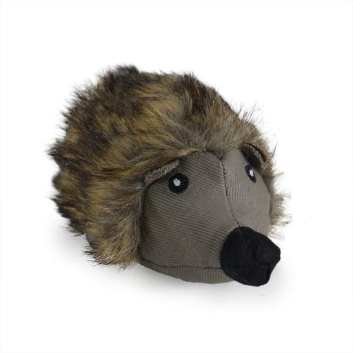 SILVERVINE HEDGEHOG
