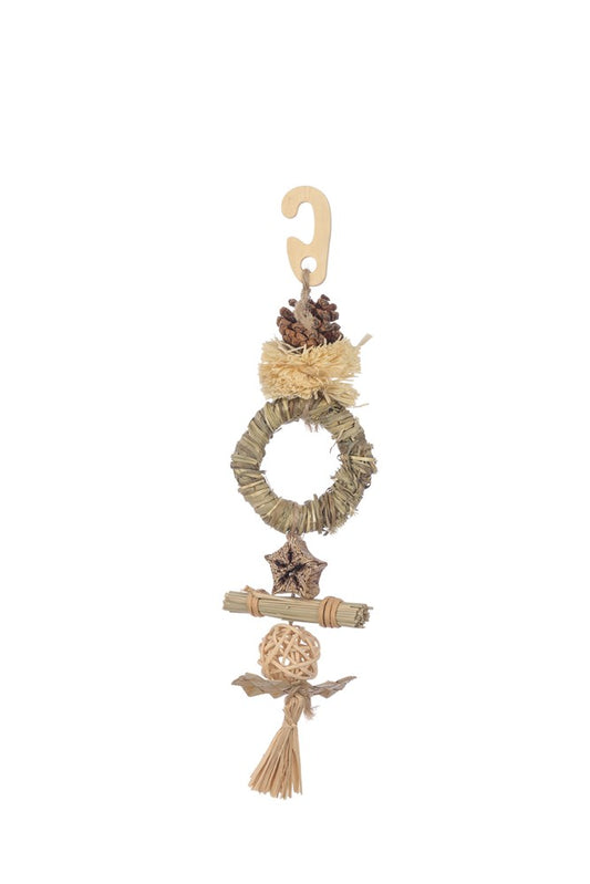 Nature Island Ring n Pom Pom Bird Toy