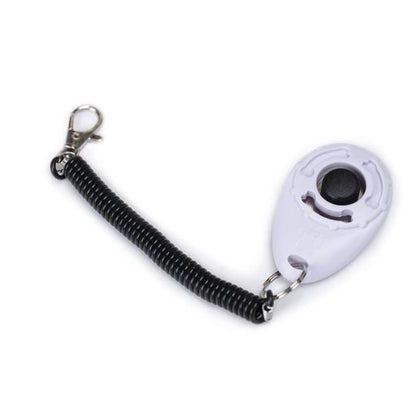 CLICK Training Tool