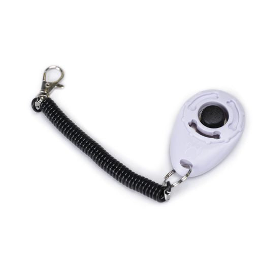 CLICK Training Tool