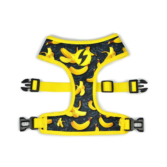 BANANA NEO MESH