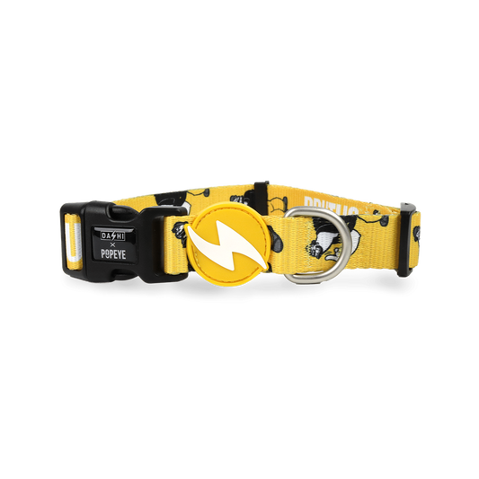 Brutus Collar