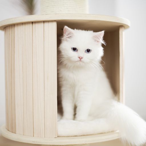 Petsbelle Solace Cat Tree