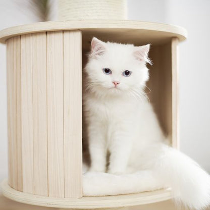 Petsbelle Solace Cat Tree