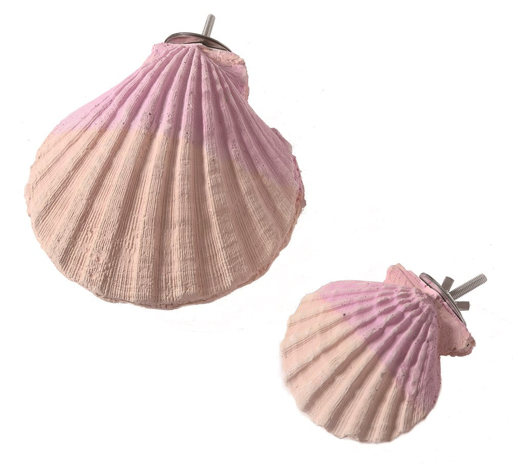 Edible Calcium Clam Parrot Perch - Small